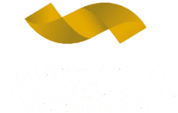 RVS & CIA Consultores